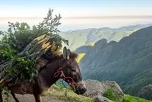 تصاویر؛ ارتفاعات ییلاقی چوبر