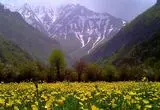 دیدنی‌ترین روستاهای اطراف تهران برای سفر یکروزه