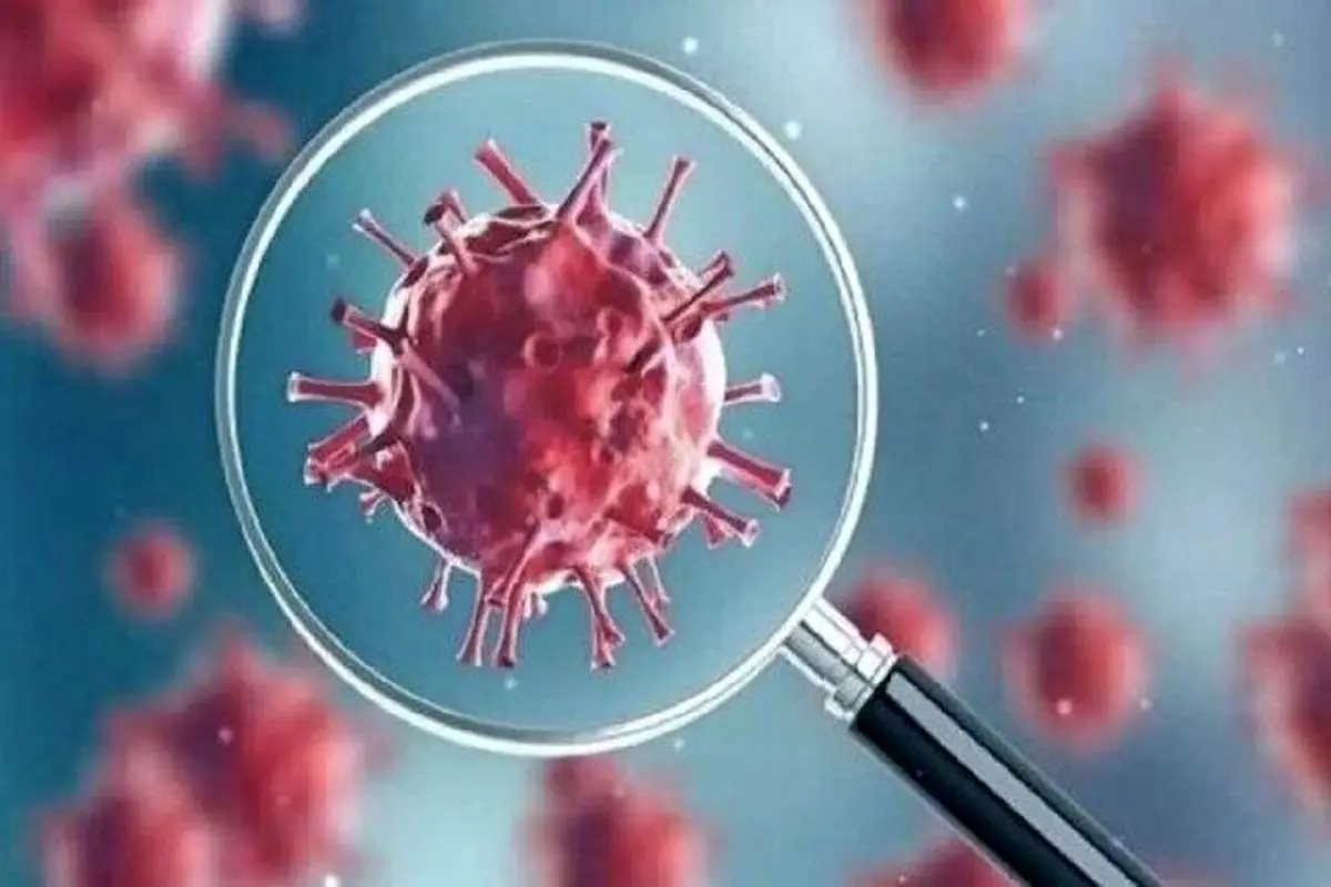 سویه «سیکادا» کرونا خطرناک است؟