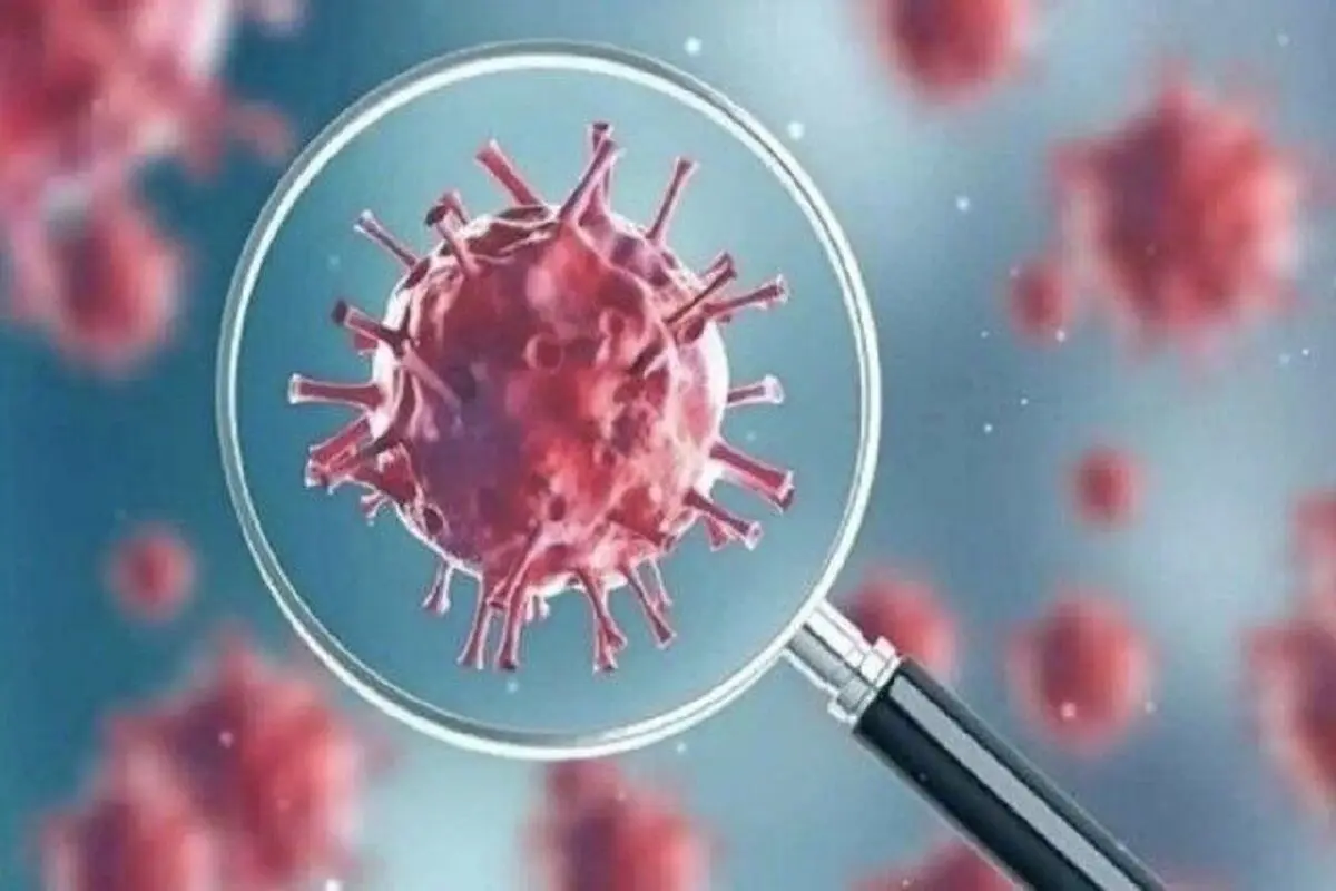 سویه «سیکادا» کرونا خطرناک است؟