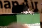 استقبال مردم عراق از پیکر رهبر شهید در فرودگاه نجف اشرف