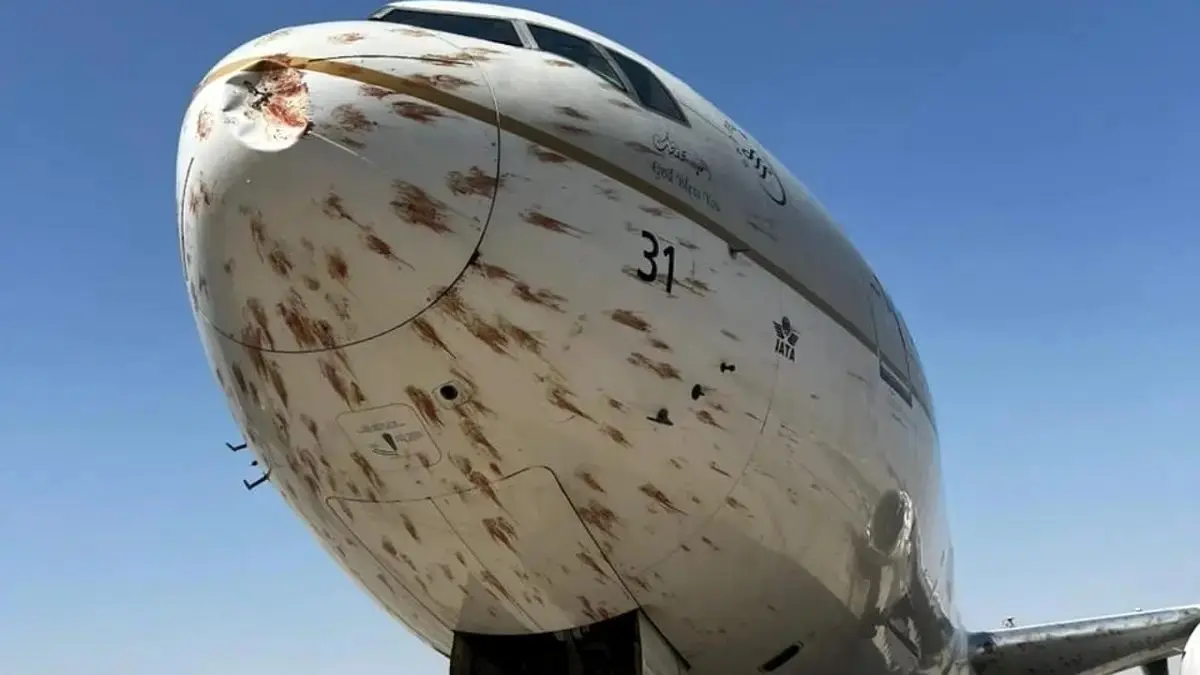 ببینید؛ تصادف هواپیمای عربستانی با دسته‌ای بزرگ از پرندگان 