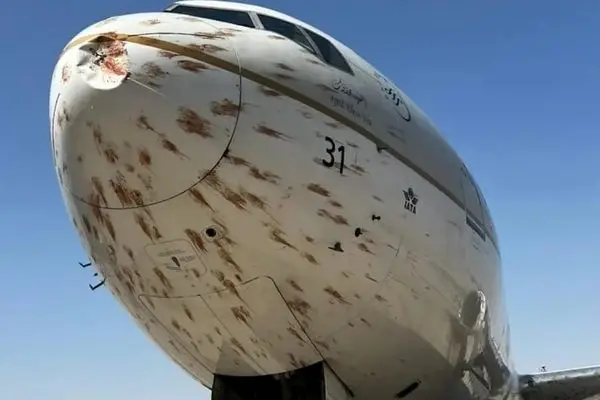 ببینید؛ تصادف هواپیمای عربستانی با دسته‌ای بزرگ از پرندگان 