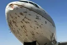 ببینید؛ تصادف هواپیمای عربستانی با دسته‌ای بزرگ از پرندگان 