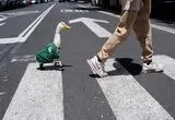 اردکی که در جام جهانی محبوب شد!