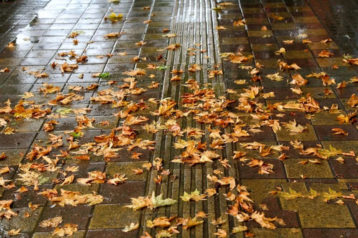 پاییز عجیب امسال در ایران