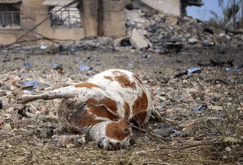 تصاویر؛ حمله هوایی به روستای لنگیرات زیدون