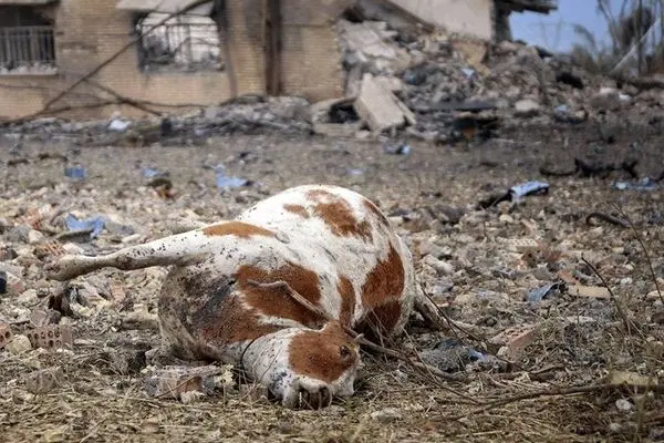 تصاویر؛ حمله هوایی به روستای لنگیرات زیدون