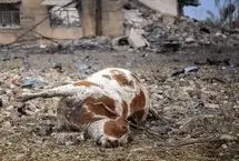 تصاویر؛ حمله هوایی به روستای لنگیرات زیدون