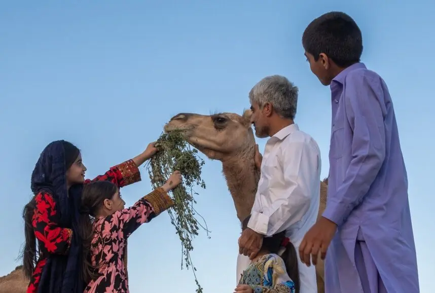 تصاویر؛ سیستان و بلوچستان سرزمین باد و دریا