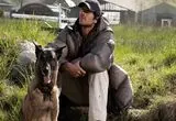 نقد و بررسی فیلم «ستاره‌های سگی» 'The Dog Stars'