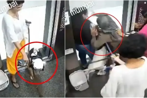 وحشت آفرینی یک سگ در آسانسور