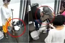 وحشت آفرینی یک سگ در آسانسور
