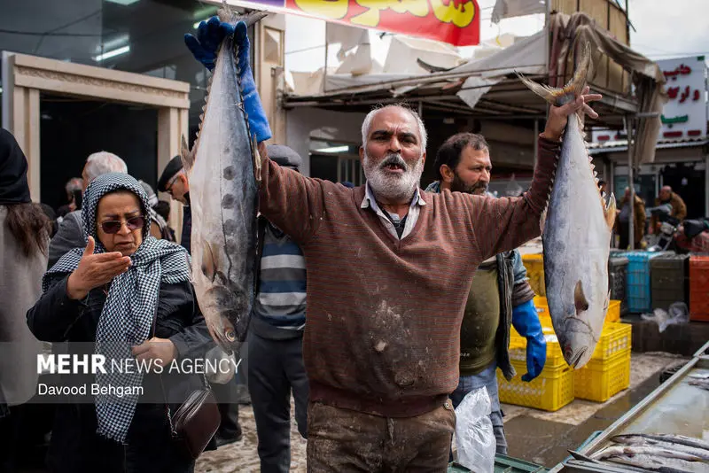 نوروز ۱۴۰۵ ۱۳