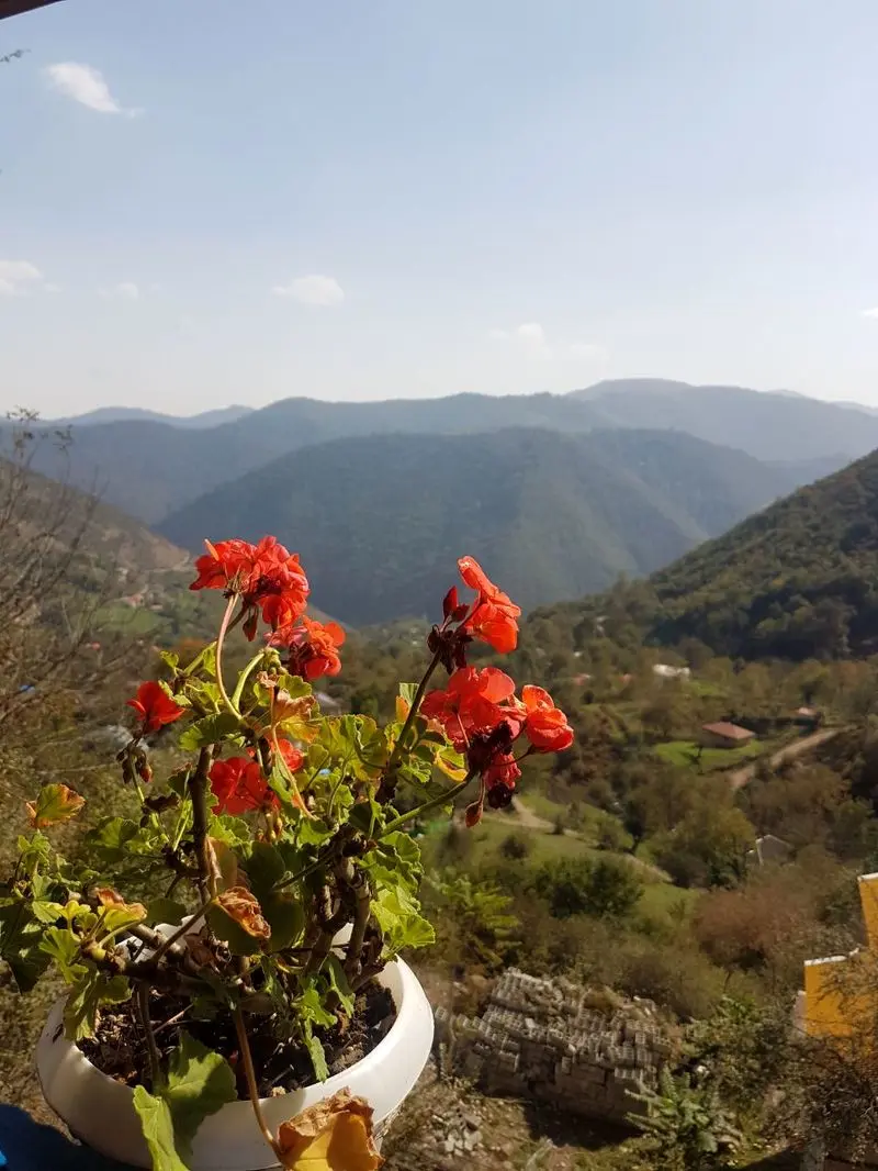 روستای ارده