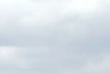 ببینید؛ آتش گرفتن یک درخت در محوطه تاریخی میدان نقش جهان اصفهان