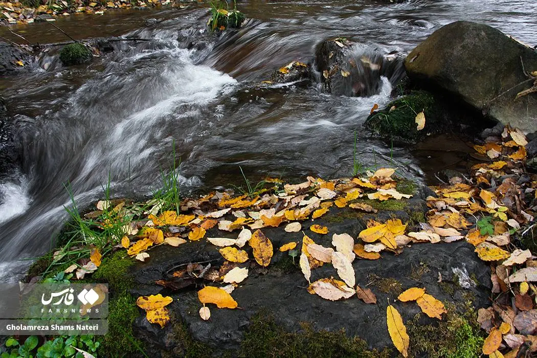 عکس صفحه گوشی پاییز