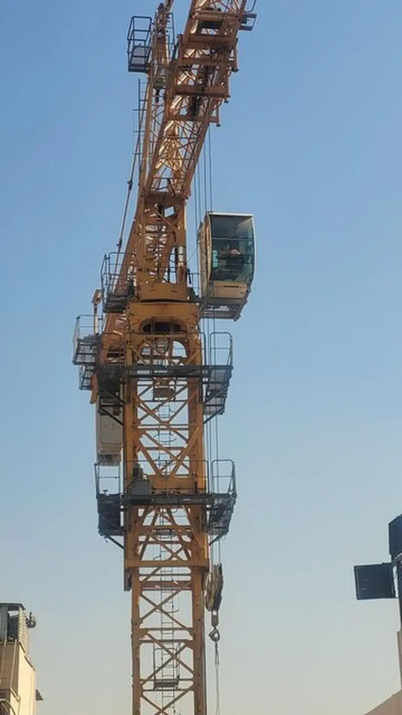 63661155