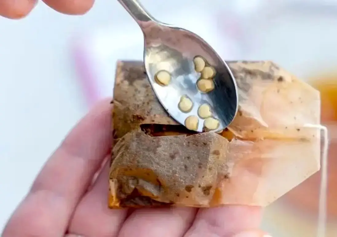 چرا نباید چای کیسه ای را دور بیندازیم؟