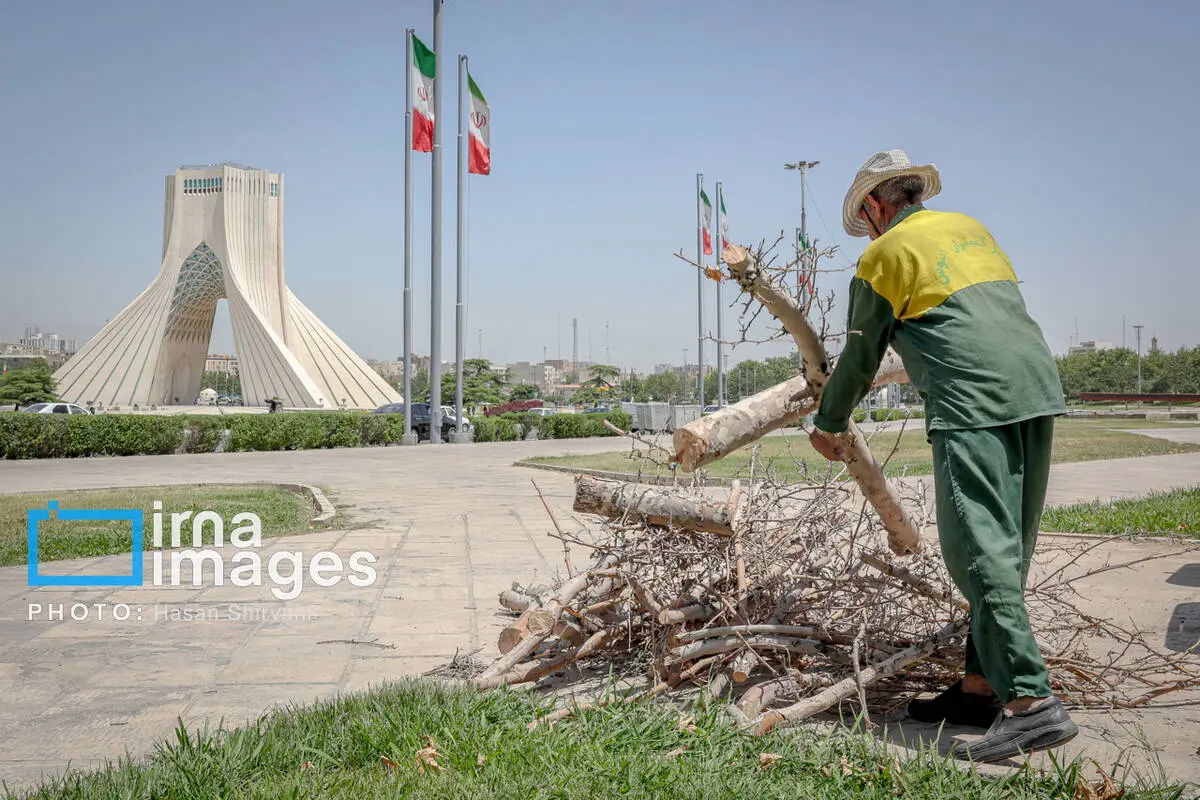 گالری