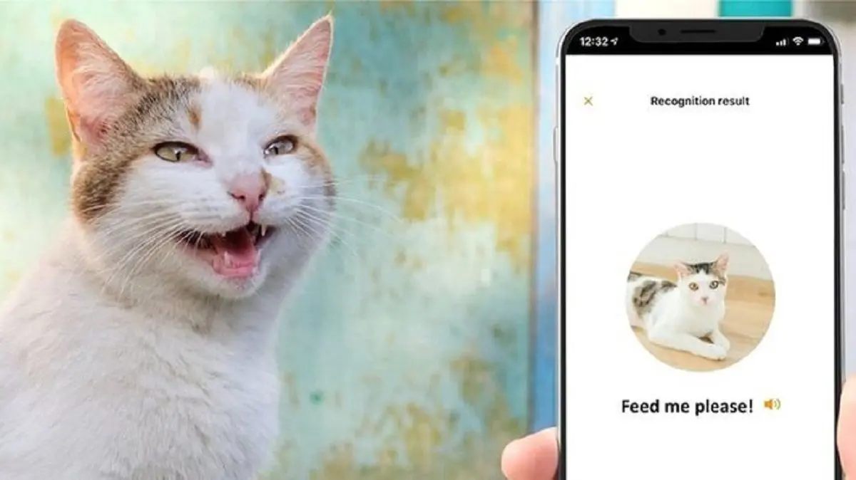 به زودی می‌توانید با گربه‌تان صحبت کنید