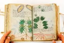 راز ۵۰۰ ساله؛ کتابی که با کلمات بیگانه نوشته شده است