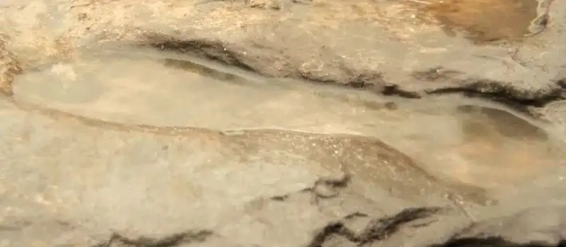  ردپای انسان