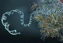 هوش مصنوعی از کامپیوتر کوانتومی شکست خورد!