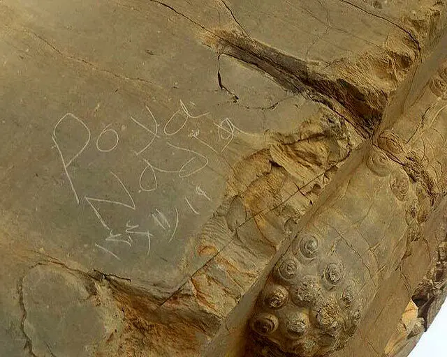 یادگاری‌ جنجالی از دروازه ملل تخت جمشید پاک شد