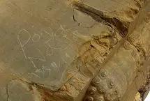 یادگاری‌ جنجالی از دروازه ملل تخت جمشید پاک شد