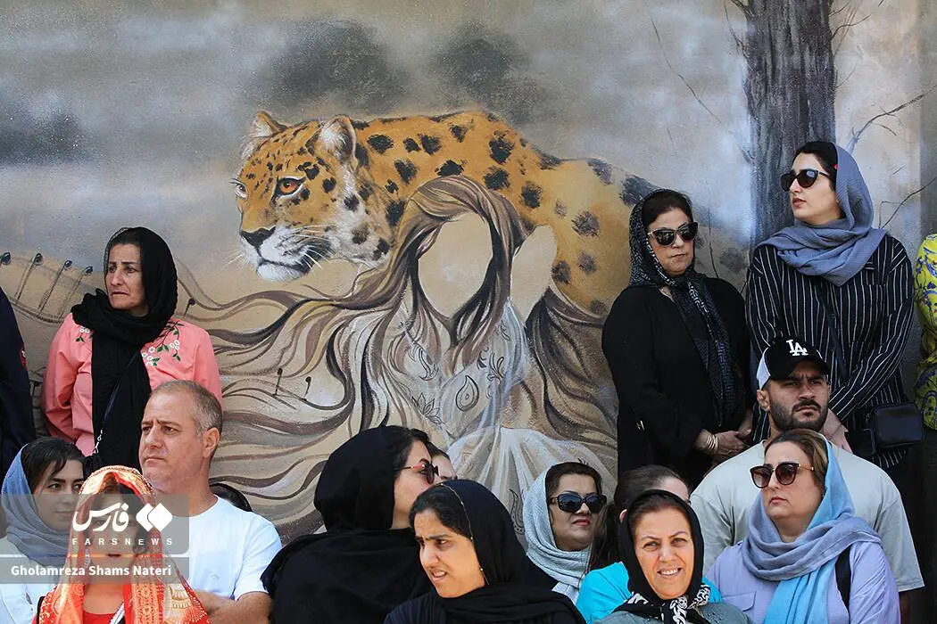 گالری