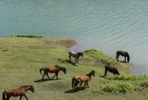 تصاویر؛ جلوه تماشایی دریاچه لفور در بهار