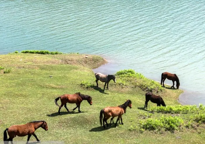 تصاویر؛ جلوه تماشایی دریاچه لفور در بهار