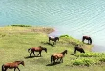 تصاویر؛ جلوه تماشایی دریاچه لفور در بهار