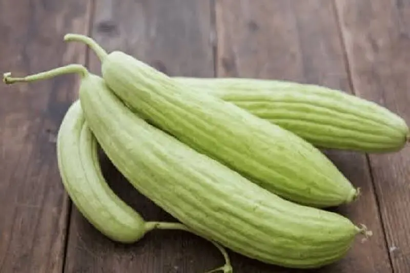 خیار چنبر