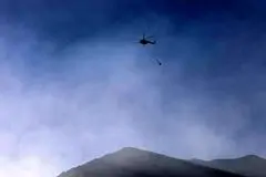 چرا جنگل ها آتش گرفت؟ 