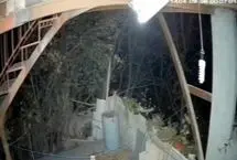 ورود خرس به منزلی مسکونی در خطیرکوه استان سمنان