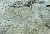 کشف شواهدی از وسایل نقلیه ماقبل تاریخی