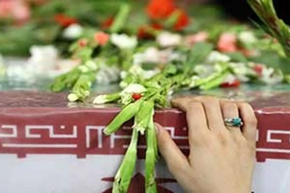 ️وزارت ورزش: تعداد ورزشکاران شهید به ۲۴ تن رسید