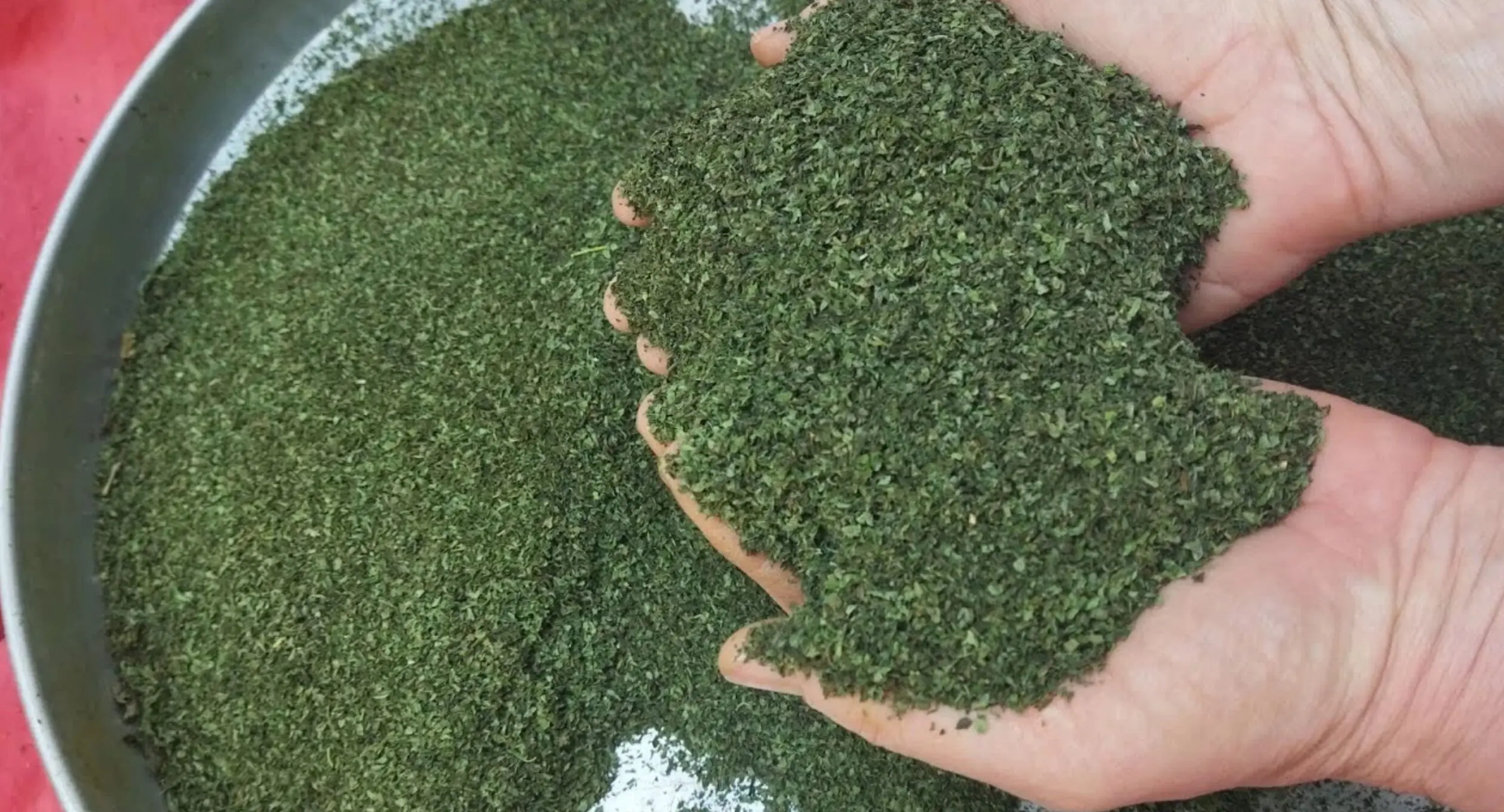 آموزش ساده و سریع خشک کردن نعناع در خانه