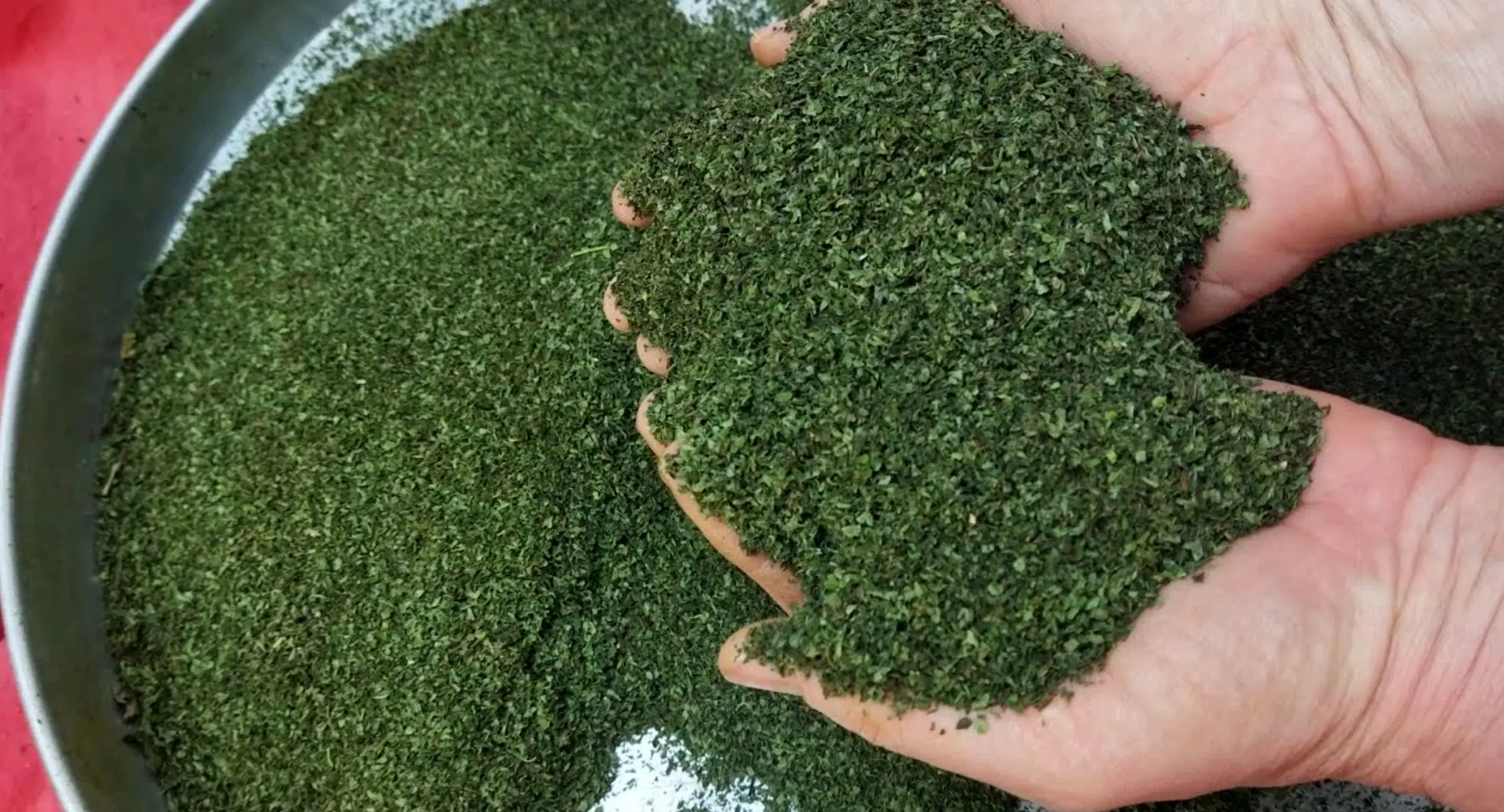 آموزش ساده و سریع خشک کردن نعناع در خانه