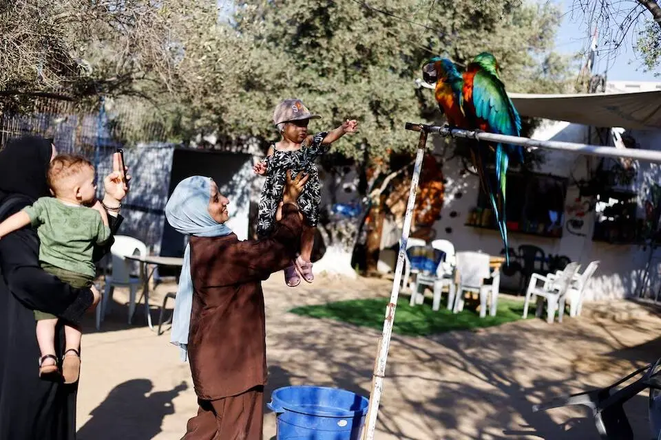 گالری