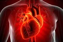 کشف شواهد جدید از قدرت خود-بازسازی قلب