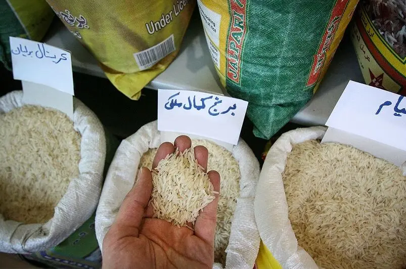 نقشه جدید برای کاهش قیمت برنج 