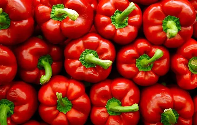 تفاوت فلفل دلمه ای نر و ماده؛ فلفل دلمه نر برای پخت و پز است یا ماده؟ 
