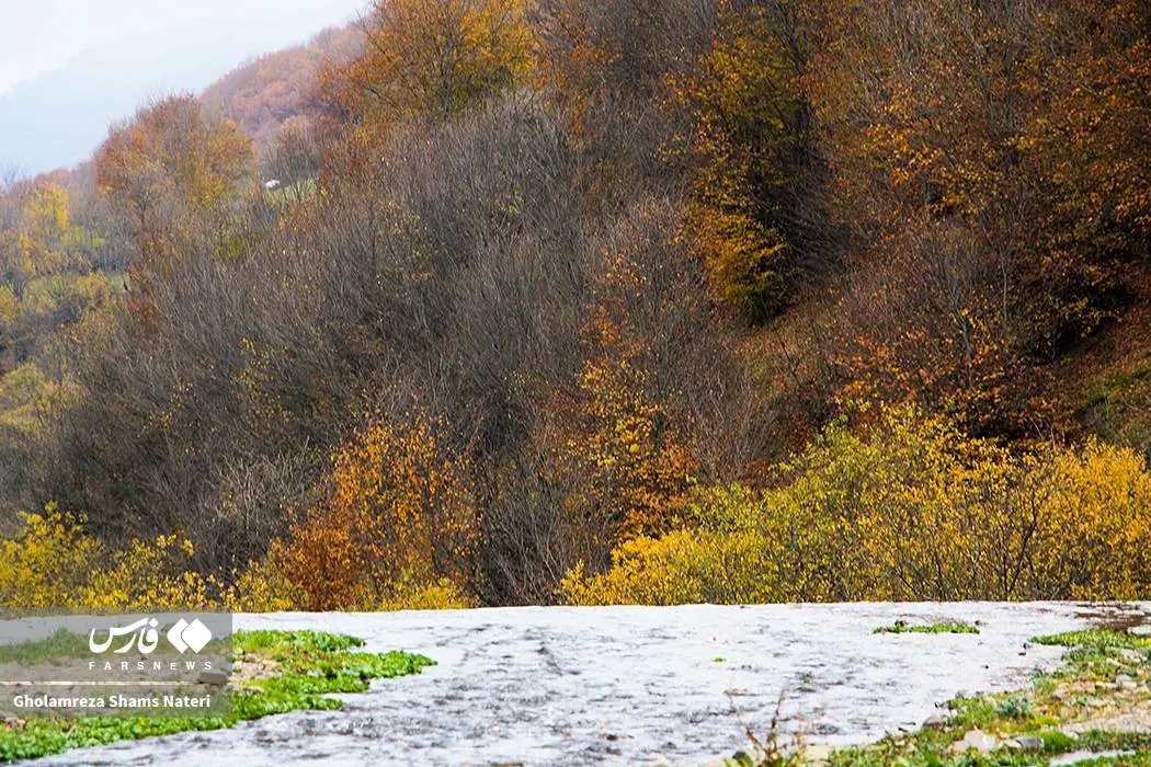 عکس صفحه گوشی پاییز