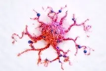 تشخیص زودهنگام سرطان با تست ادرار خانگی