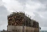 کشف ۶۳۰ کیلوگرم زغال جنگلی قاچاق