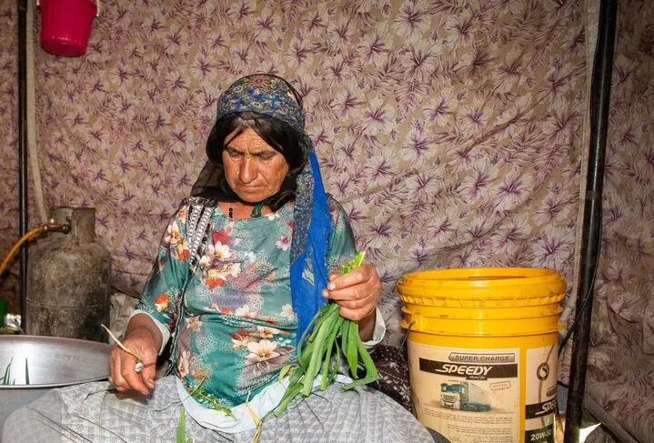 تصاویر؛ سرحد عشایر ایل قشقایی