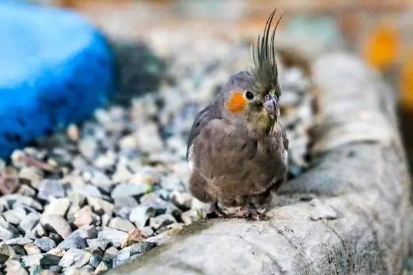 تصاویر؛ حال و هوای ماه رمضان در زندان